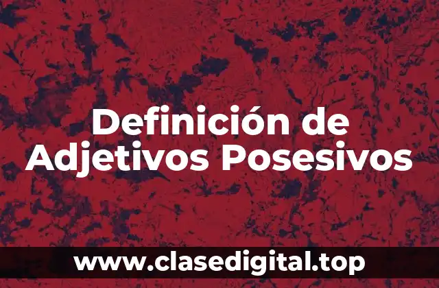 Definición de Adjetivos Posesivos