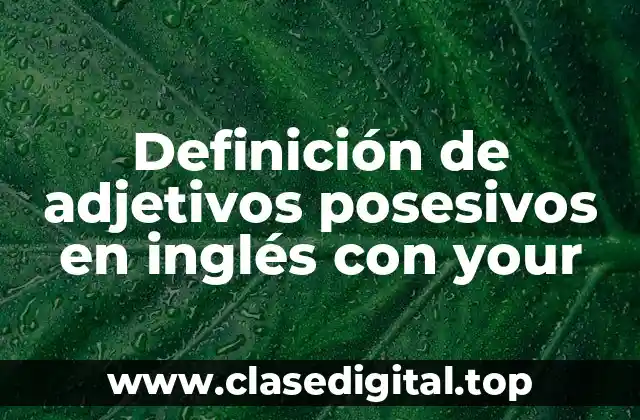 Definición de adjetivos posesivos en inglés con your