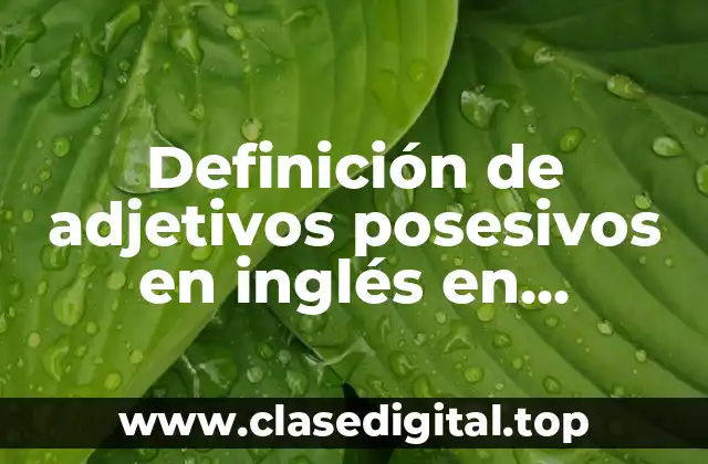 Definición de adjetivos posesivos en inglés en diferentes tiempos