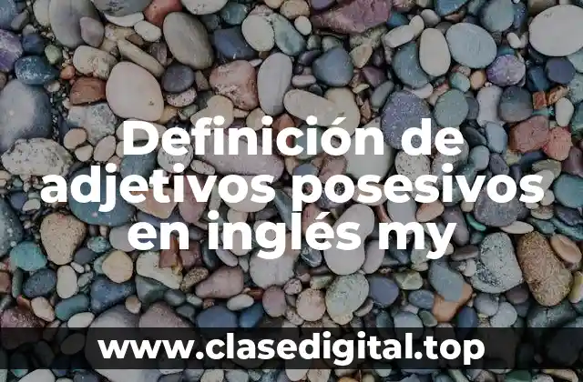 Definición de adjetivos posesivos en inglés my
