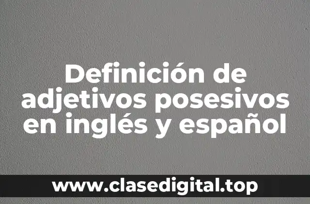 Definición técnica de adjetivos posesivos