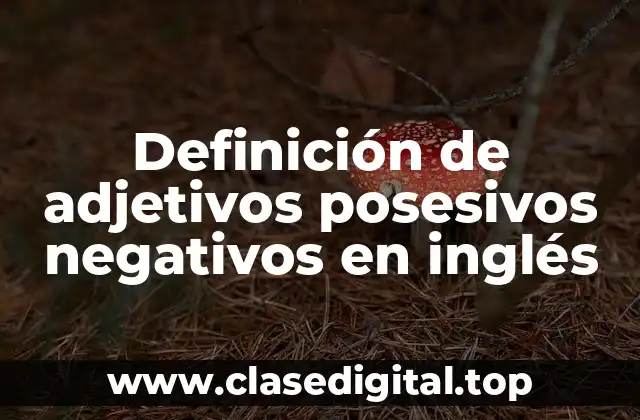 Definición de adjetivos posesivos negativos en inglés