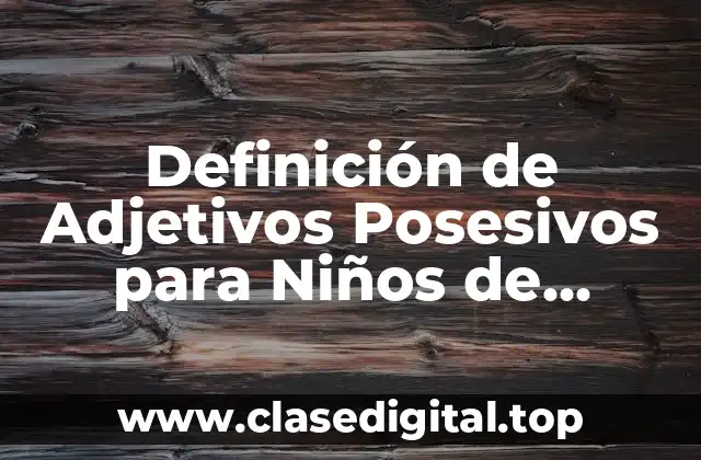 Definición de Adjetivos Posesivos para Niños de Primaria