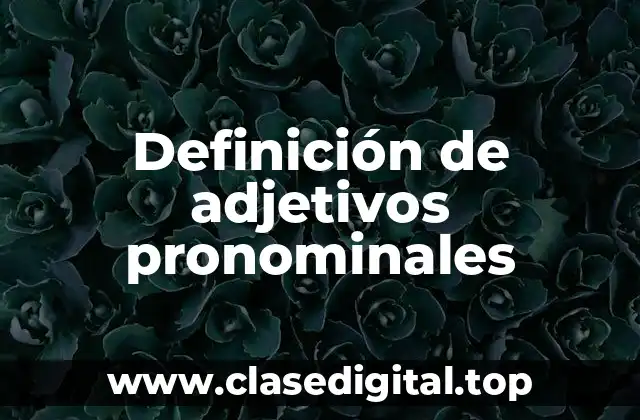 Definición de adjetivos pronominales