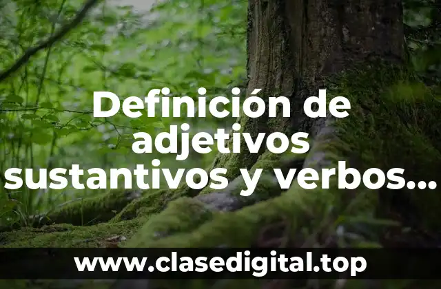 Definición de adjetivos sustantivos y verbos utilizados en los ensayos