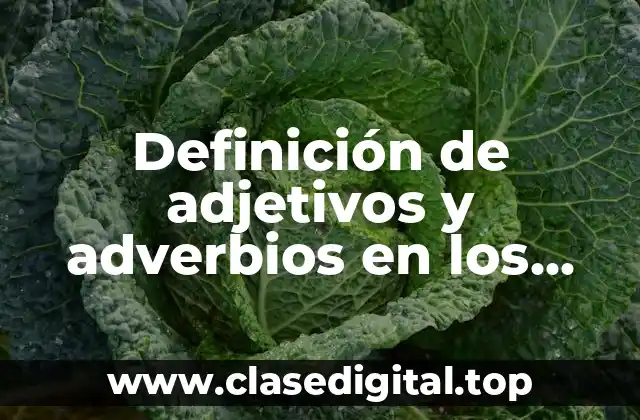 Definición de adjetivos y adverbios en los refranes
