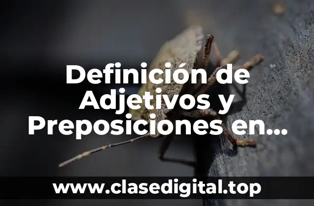 Definición de Adjetivos y Preposiciones en Inglés
