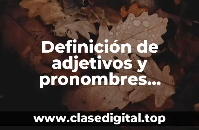 Definición de adjetivos y pronombres posesivos en inglés
