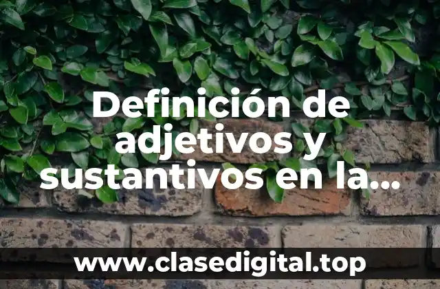 Ejemplos de adjetivos y sustantivos en la misma oración