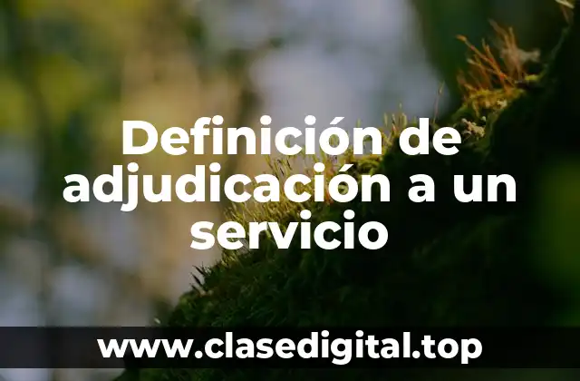 Definición de adjudicación a un servicio
