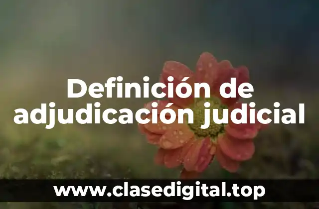 Definición de adjudicación judicial