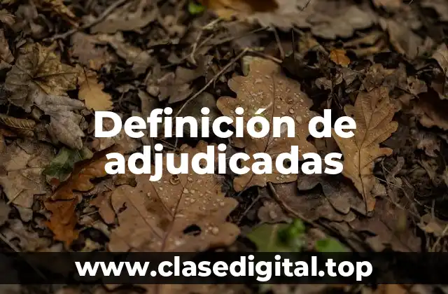 Definición de adjudicadas