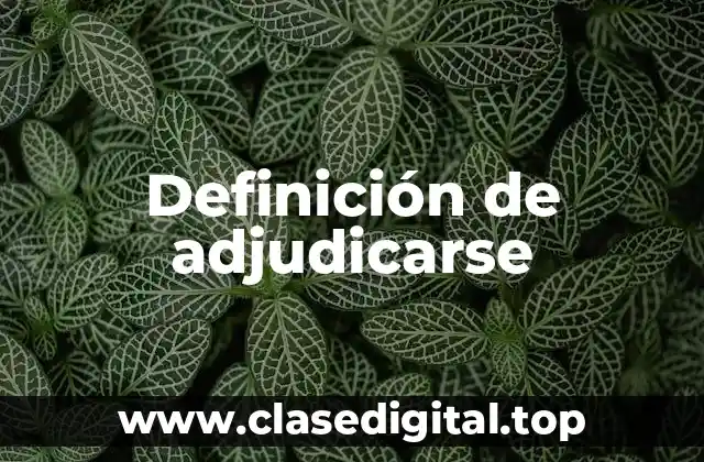 Definición de adjudicarse