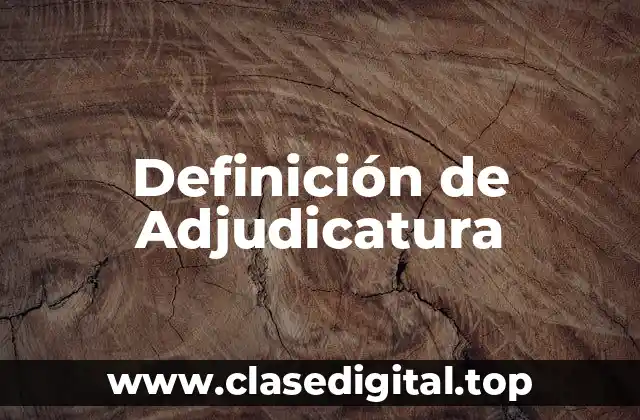 Definición de Adjudicatura