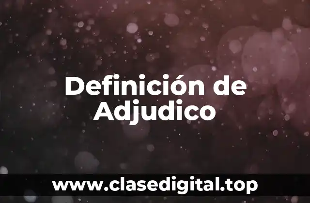 Definición de Adjudico