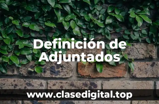 Definición de Adjuntados