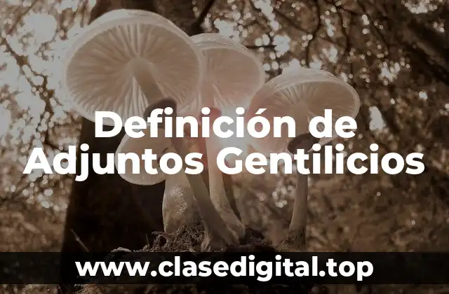Definición de Adjuntos Gentilicios