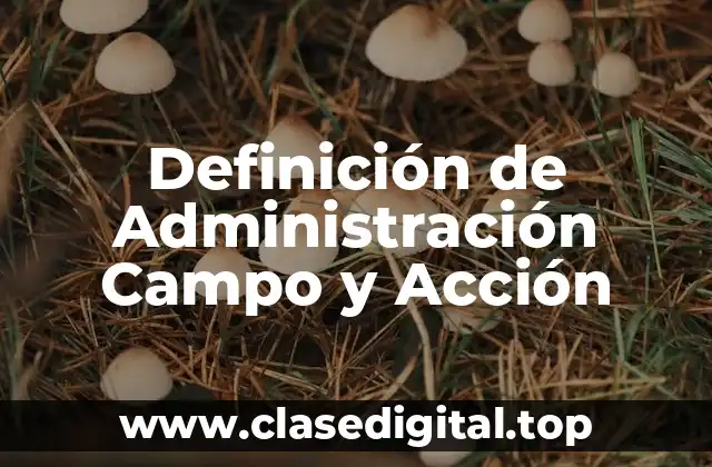 Definición de Administración Campo y Acción