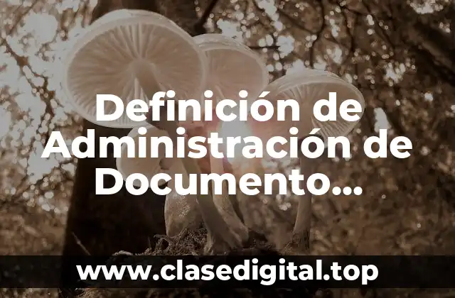 Definición de Administración de Documento Electrónico