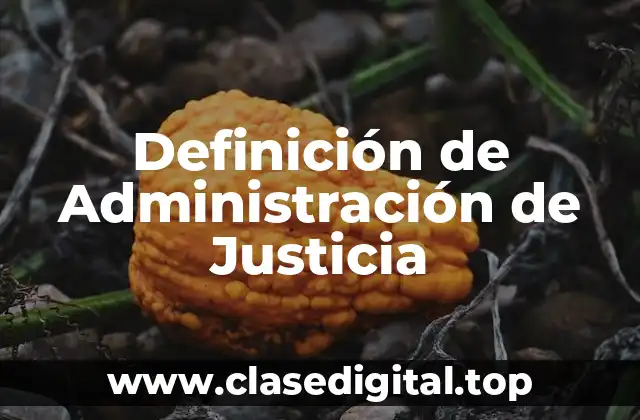 Definición técnica de Administración de Justicia