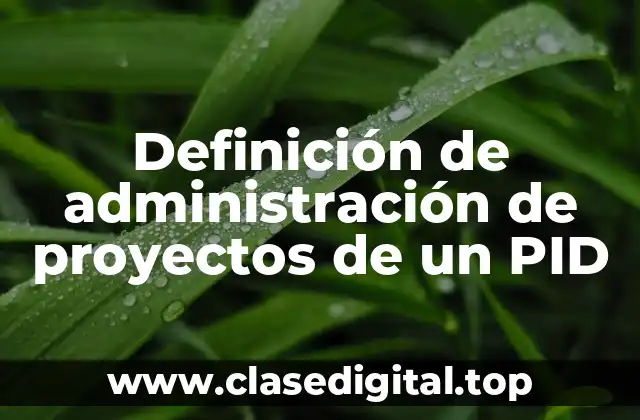 Definición de administración de proyectos de un PID