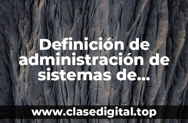 Definición de administración de sistemas de información