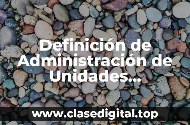 Definición de Administración de Unidades Informáticas