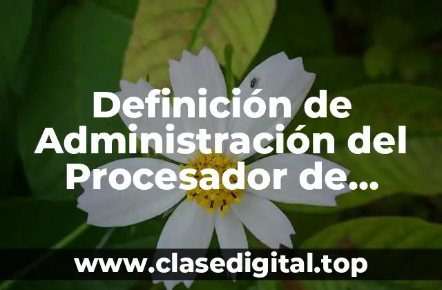 Definición de Administración del Procesador de Estados de Proceso