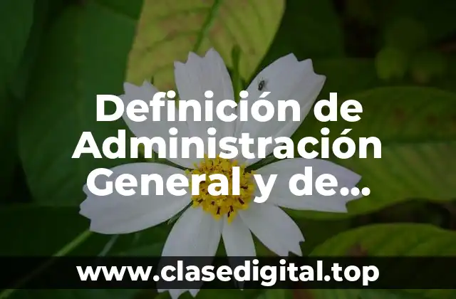 Definición de Administración General y de Procesos
