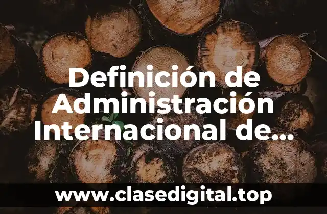 Definición de Administración Internacional de Proyectos
