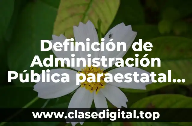 Definición de Administración Pública paraestatal en México