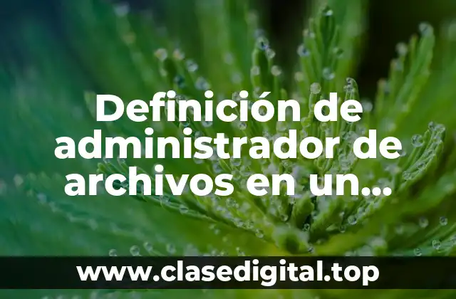 Definición de administrador de archivos en un sistema operativo