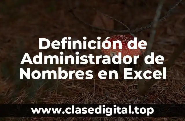 Definición de Administrador de Nombres en Excel