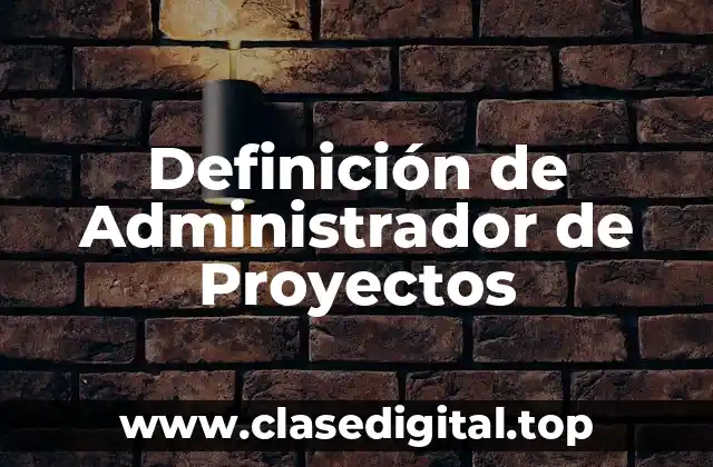Definición de Administrador de Proyectos