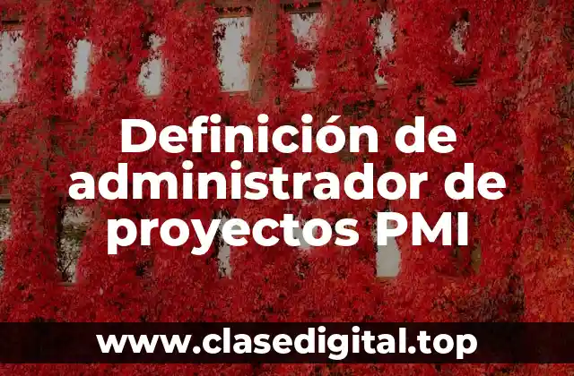 Definición técnica de administrador de proyectos PMI