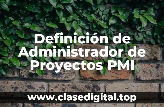 Definición de Administrador de Proyectos PMI