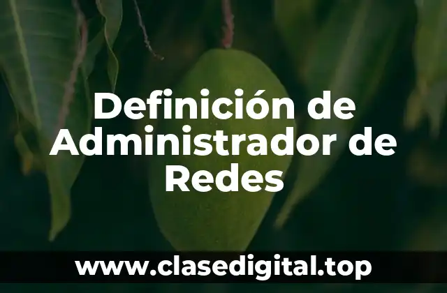 Definición de Administrador de Redes