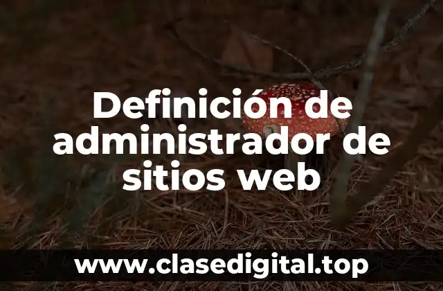 Definición de administrador de sitios web