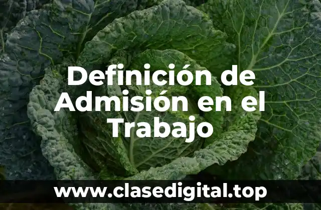 Definición Técnica de Admisión en el Trabajo