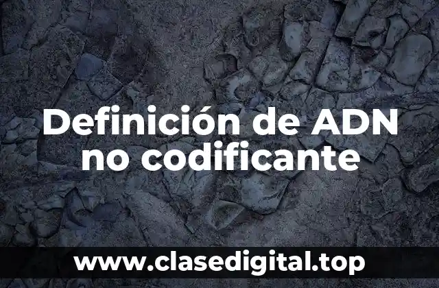 Definición técnica de ADN no codificante