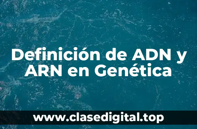 Definición técnica de ADN