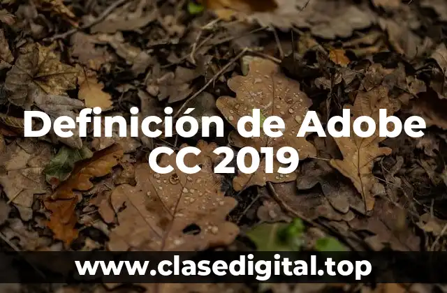 Definición de Adobe CC 2019