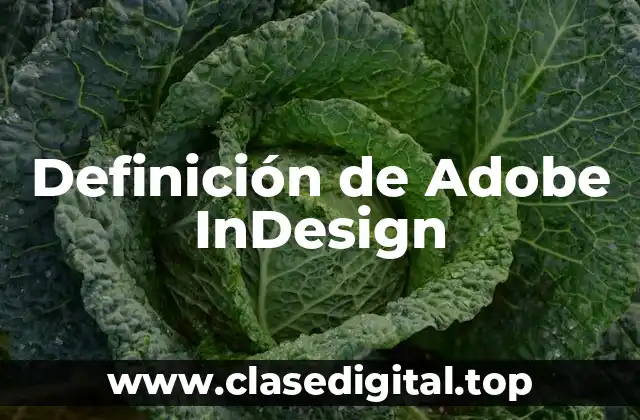Definición de Adobe InDesign