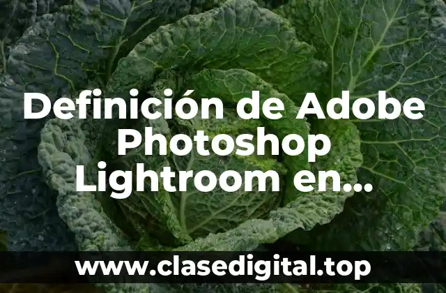 Definición de Adobe Photoshop Lightroom en educación