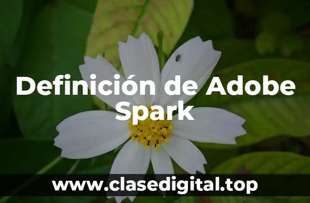 Definición de Adobe Spark