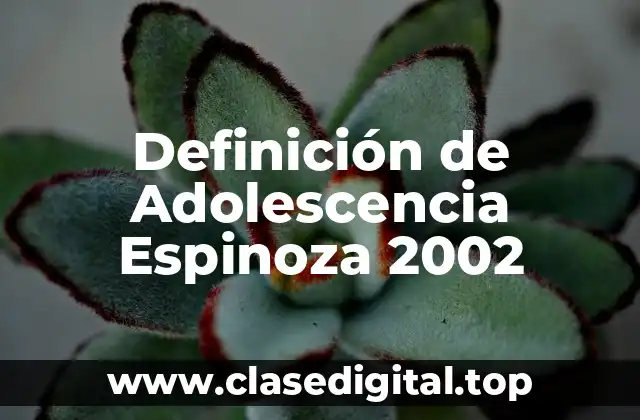 Definición de Adolescencia Espinoza 2002