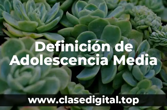 Definición de Adolescencia Media