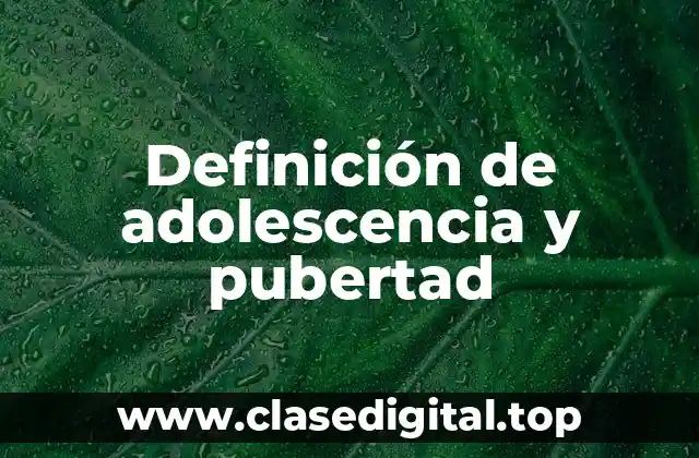 Definición técnica de pubertad