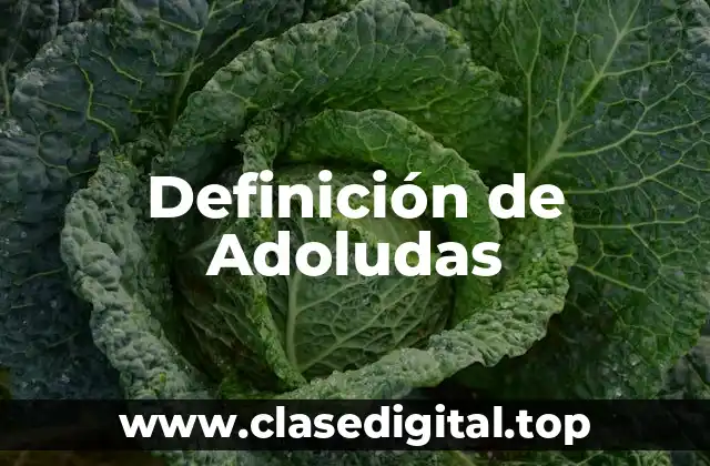 Definición de Adoludas