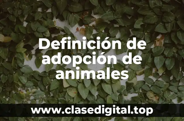 Ejemplos de adopción de animales
